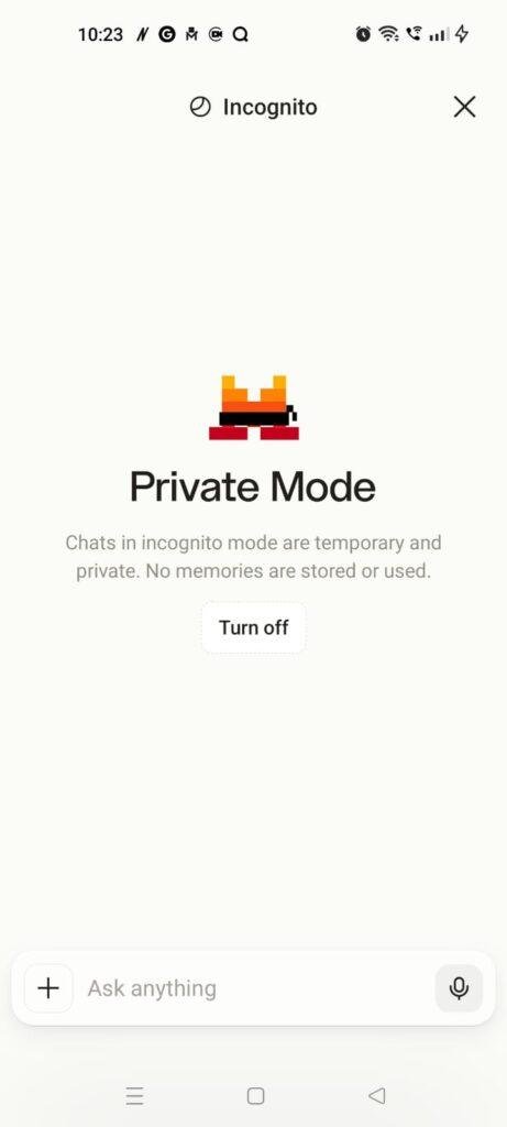 Vibe AI app in Incognito mode, showing Private Mode with temporary and private chats enabled.